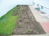 from lawn to garden