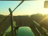 A view while planting corn